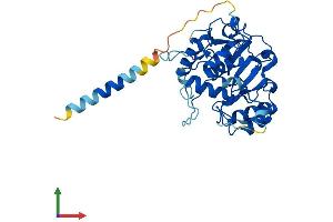 AlphaFold protein structure predicition of Mouse Recombinant St3gal4 Protein, UniprotID Q91Y74