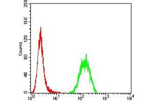 Flow cytometric analysis of Hela cells using P2RY14 mouse mAb (green) and negative control (red). (P2RY14 antibody)