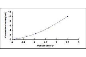 Fibroblast Growth Factor Receptor 1 (FGFR1) ELISA Kit