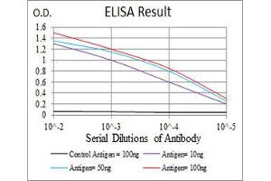 Black line: Control Antigen (100 ng), Purple line: Antigen(10 ng), Blue line: Antigen (50 ng), Red line: Antigen (100 ng), (KAT5 antibody  (AA 18-208))