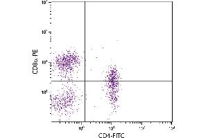 Porcine peripheral blood lymphocytes were stained with Mouse Anti-Porcine CD4-FITC. (CD4 antibody)