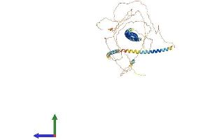 AlphaFold protein structure predicition of Human Recombinant LCA5 Protein, UniprotID Q86VQ0