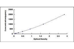 Bone Morphogenetic Protein 6 (BMP6) ELISA Kit