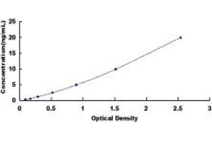 Typical standard curve (PDE1A ELISA Kit)