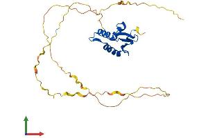 AlphaFold protein structure predicition of Human Recombinant SPIB Protein, UniprotID Q01892 (SPIB Protein (AA 1-262) (His tag))