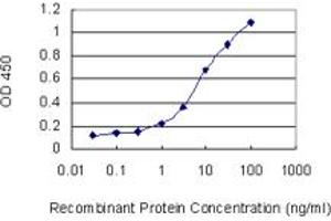 Detection limit for recombinant GST tagged SLC22A12 is 0. (SLC22A12 antibody  (AA 281-349))