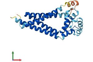 AlphaFold protein structure predicition of Human Recombinant CD81 Protein, UniprotID P60033 (CD81 Protein (CD81) (AA 1-236) (His tag))