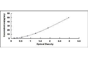 Typical standard curve (GCK ELISA Kit)