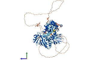 AlphaFold protein structure predicition of Human Recombinant DLG3 Protein, UniprotID Q92796 (DLG3 Protein (AA 1-817) (His tag))