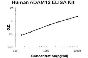 Human ADAM12 PicoKine ELISA Kit standard curve (ADAM12 ELISA Kit)