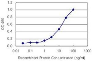 Detection limit for recombinant GST tagged FOXK2 is 0. (Forkhead Box K2 antibody  (AA 561-660))