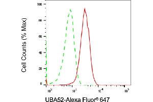 anti-Ubiquitin A-52 Residue Ribosomal Protein Fusion Product 1 (UBA52) antibody