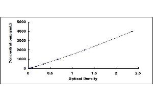 Typical standard curve (IGFBP2 ELISA Kit)