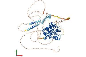AlphaFold protein structure predicition of Human Recombinant PDE4D Protein, UniprotID Q08499