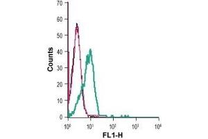 Cell surface detection of GPR83 in live intact human Jurkat T-cell leukemia cells: (black line) Cells. (GPR83 antibody  (Extracellular))