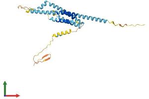 AlphaFold protein structure predicition of Mouse Recombinant Tmem176b Protein, UniprotID Q9R1Q6 (TMEM176B Protein (AA 1-263) (His tag))