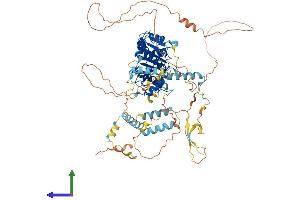 AlphaFold protein structure predicition of Human Recombinant ADD2 Protein, UniprotID P35612 (ADD2 Protein (AA 1-726) (His tag))