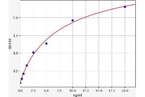 Typical standard curve (MTHFD2 ELISA Kit)