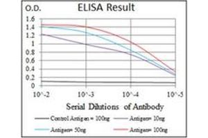 ELISA image for anti-Alkaline Phosphatase, Liver/bone/kidney (ALPL) antibody (ABIN1105293)
