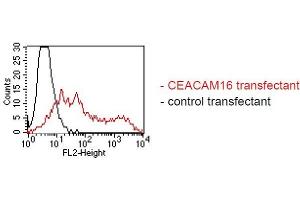 FACS analysis of BOSC23 cells using SU-9D5. (CEACAM16 antibody)