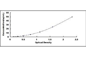 Typical standard curve (Complement C3 Convertase ELISA Kit)