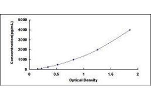 Factor VII ELISA Kit