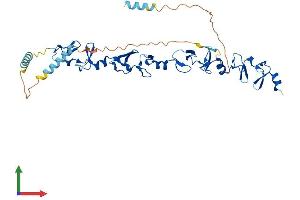 AlphaFold protein structure predicition of Mouse Recombinant Lpxn Protein, UniprotID Q99N69
