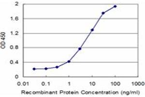 Detection limit for recombinant GST tagged TSPAN2 is approximately 0. (Tetraspanin 2 antibody  (AA 112-187))