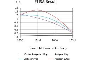 Black line: Control Antigen (100 ng),Purple line: Antigen (10 ng), Blue line: Antigen (50 ng), Red line:Antigen (100 ng) (ABCC3 antibody  (AA 849-963))