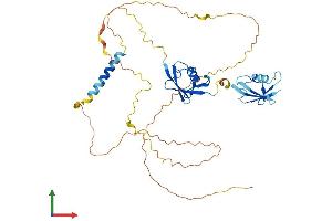 Protein Structure (PS) image for Nuclear Factor of Activated T-Cells, Cytoplasmic, Calcineurin-Dependent 2 Interacting Protein (NFATC2IP) (AA 1-419) protein (His tag) (ABIN7549756)