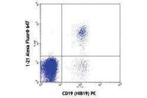 Flow Cytometry (FACS) image for anti-T-Cell Leukemia/lymphoma 1A (TCL1A) antibody (Alexa Fluor 647) (ABIN2658007) (TCL1A antibody  (Alexa Fluor 647))