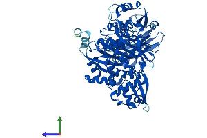 Protein Structure (PS) image for Phenylalanyl-tRNA Synthetase, beta Subunit (FARSB) (AA 1-589) protein (His tag) (ABIN7544115)