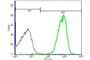 Flow Cytometry (FACS) image for anti-ATPase, Cu++ Transporting, beta Polypeptide (ATP7B) (AA 1351-1465) antibody (FITC) (ABIN733440)