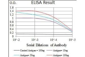 Black line: Control Antigen (100 ng), Purple line: Antigen(10 ng), Blue line: Antigen (50 ng), Red line: Antigen (100 ng), (WHSC2 antibody  (AA 280-511))