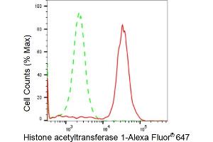 Flow cytometric analysis of Histone acetyltransferase 1 expression in HeLa cells using Histone acetyltransferase 1 antibody (ABIN7798921), 1:2,000). (Recombinant HAT1 antibody)