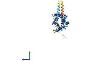AlphaFold protein structure predicition of Human Recombinant NMUR2 Protein, UniprotID Q9GZQ4