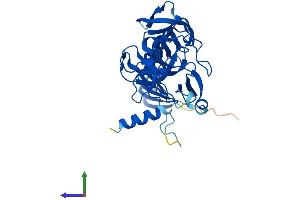 AlphaFold protein structure predicition of Mouse Recombinant Setd7 Protein, UniprotID Q8VHL1