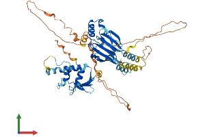 AlphaFold protein structure predicition of Human Recombinant IRF7 Protein, UniprotID Q92985 (IRF7 Protein (AA 1-503) (His tag))