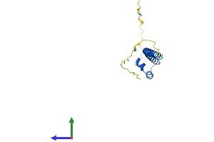 AlphaFold protein structure predicition of Mouse Recombinant Mafk Protein, UniprotID Q61827 (MAFK Protein (AA 1-156) (His tag))