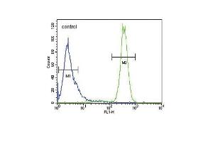 Flow Cytometry (FACS) image for anti-Cyclin-Dependent Kinase Inhibitor 2D (p19, Inhibits CDK4) (CDKN2D) (AA 15-43), (N-Term) antibody (ABIN6243142)