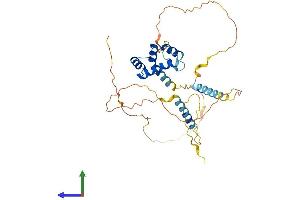 AlphaFold protein structure predicition of Human Recombinant MKX Protein, UniprotID Q8IYA7 (MKX Protein (AA 1-352) (His tag))