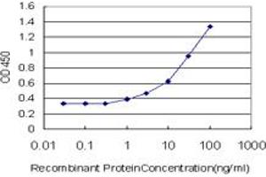 Detection limit for recombinant GST tagged PRKAA1 is approximately 3ng/ml as a capture antibody. (PRKAA1 antibody  (AA 451-550))