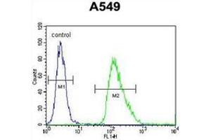Flow cytometric analysis of A549 cells using IER3 / IEX1 Antibody (N-term) Cat.