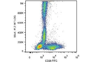 Surface staining of human peripheral blood cells with anti-human CD26 (BA5b) FITC. (DPP4 antibody  (FITC))