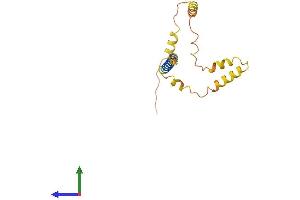AlphaFold protein structure predicition of Human Recombinant FAM74A7 Protein, UniprotID A6NL05 (FAM74A7 Protein (AA 1-159) (His tag))