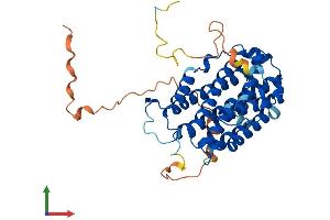 Protein Structure (PS) image for Ribonucleotide Reductase M2 (RRM2) (AA 1-389) protein (His tag) (ABIN7551418)