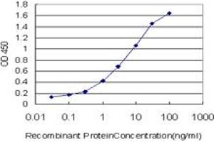 Detection limit for recombinant GST tagged CRX is approximately 0. (CRX antibody  (AA 1-95))