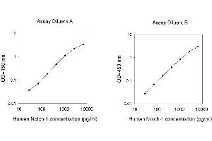 ELISA image for Notch 1 (NOTCH1) ELISA Kit (ABIN2703370) (Notch1 ELISA Kit)