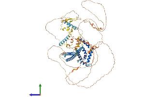 Protein Structure (PS) image for MLX Interacting Protein-Like (MLXIPL) (AA 1-864) protein (His tag) (ABIN7560422)