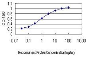 Detection limit for recombinant GST tagged USP43 is approximately 0. (USP43 antibody  (AA 315-423))